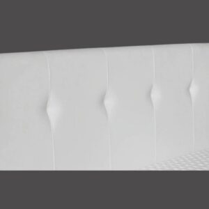 Testata "NOI DELLA NOTTE" Koi